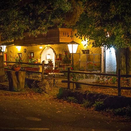 Gasthof Mitteregg Zum Kasnocknwirt Winkl  외부 사진